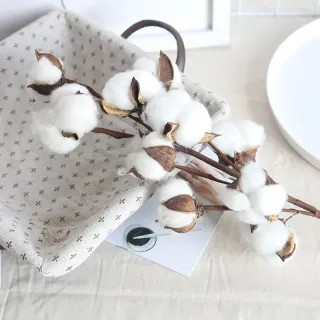 Cotone artificiale essiccato naturale