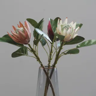 Bunga Protea Cynaroides Buatan Untuk Hiasan Meja