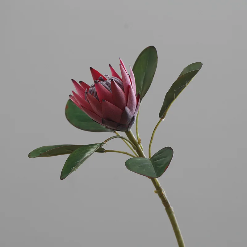 artificial protea cynaroides