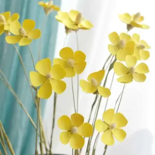 Bouquet regalo viola essiccato