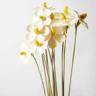 Bouquet regalo viola essiccato
