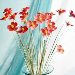 Bouquet regalo viola essiccato