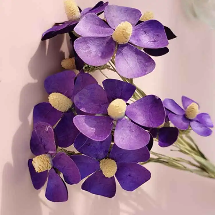 dried violet gift