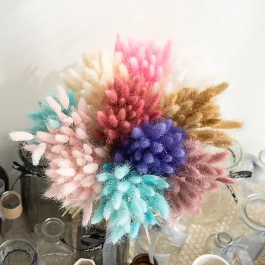 Természetes szárított nyúlfarkú fű