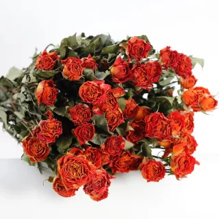 Romantico bouquet di rose appassite