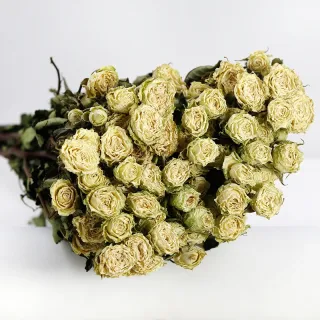 Romantico bouquet di rose appassite