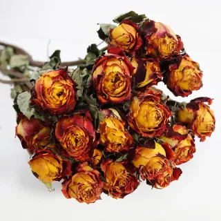 Romantico bouquet di rose appassite