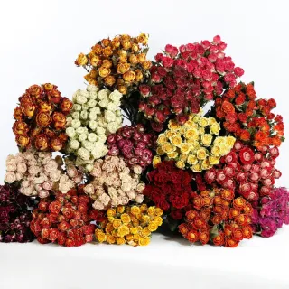 Romantico bouquet di rose appassite