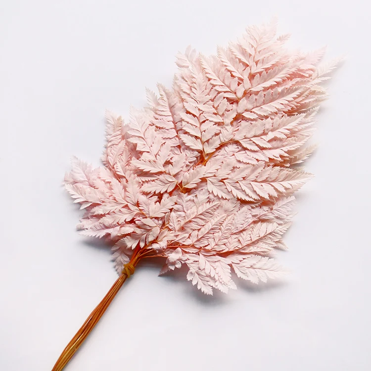 dried fern leaf