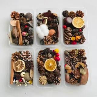 Pacchetto materiale di frutta secca naturale