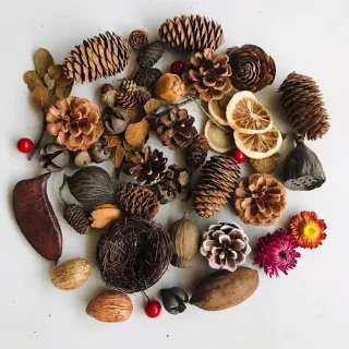 Pacchetto materiale di frutta secca naturale