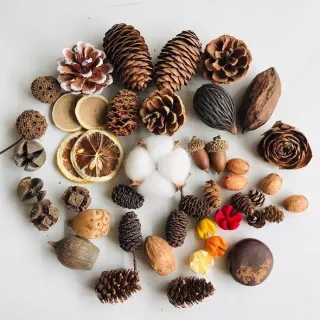 Pacchetto materiale di frutta secca naturale
