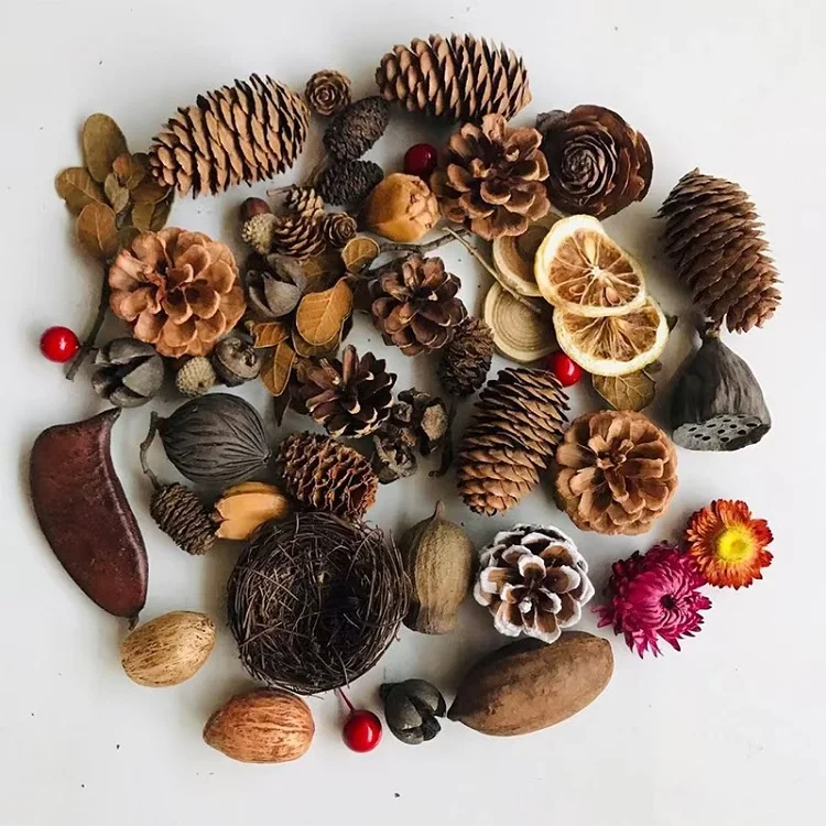 dried fruit material