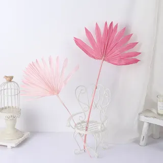 Foglia di palma secca per la decorazione domestica