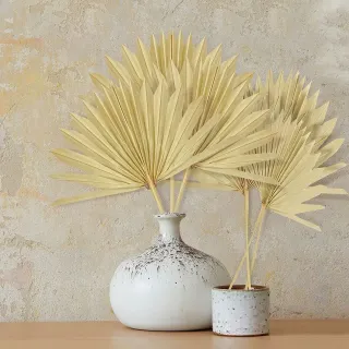 Foglia di palma secca per la decorazione domestica