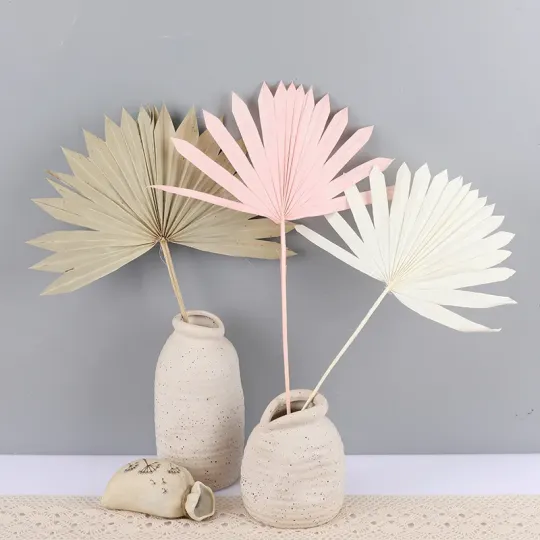 Foglia di palma secca per la decorazione domestica