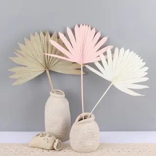 Foglia di palma secca per la decorazione domestica