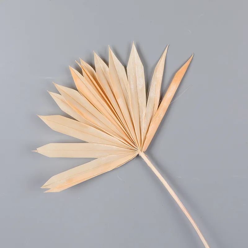 dried palm leaf