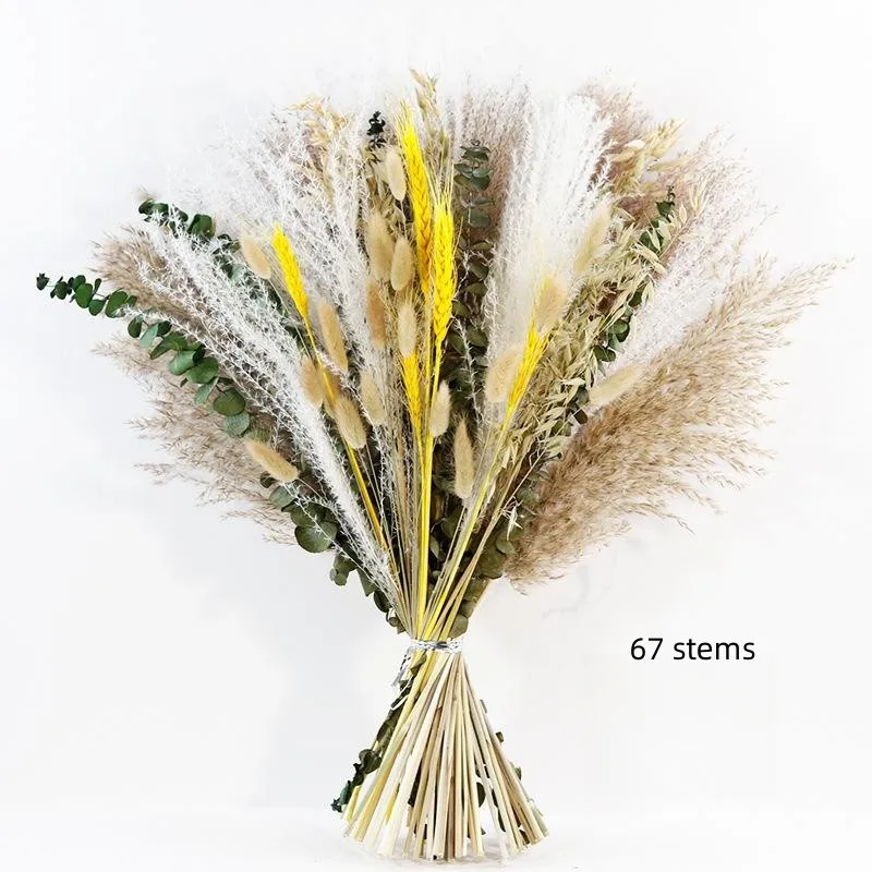 dried pampas decoration