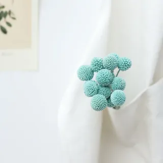 Fiore dorato secco variopinto della palla