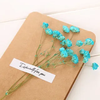 Biglietti d'auguri con fiori secchi