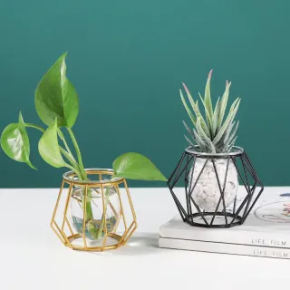 Desktop Nordic Wire Metal Geometric Home Decor