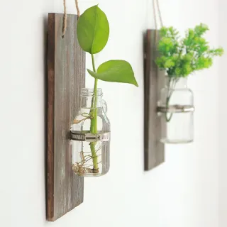 Vaso in vetro per piante verdi per decorazioni murali