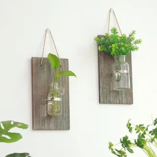 Vaso in vetro per piante verdi per decorazioni murali