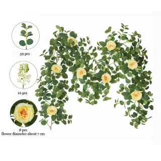 Fleur Feuilles Verdure Feuille d'eucalyptus Vignes