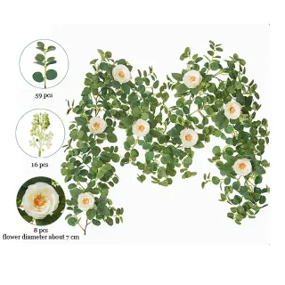 Fleur Feuilles Verdure Feuille d'eucalyptus Vignes