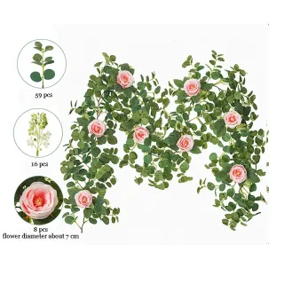 Fiore Foglie Verde Foglia Di Eucalipto Viti