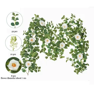 Fleur Feuilles Verdure Feuille d'eucalyptus Vignes