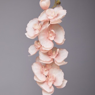 Fiore di seta per la decorazione della tavola dell'orchidea Phalaenopsis