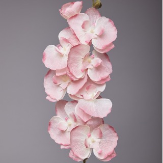 Fiore di seta per la decorazione della tavola dell'orchidea Phalaenopsis