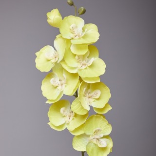 Selyem Phalaenopsis orchidea asztaldísz virág