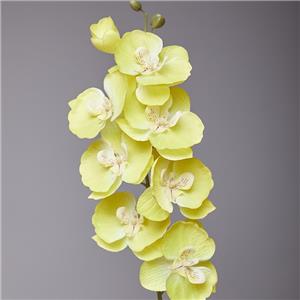 Fiore di seta per la decorazione della tavola dell'orchidea Phalaenopsis