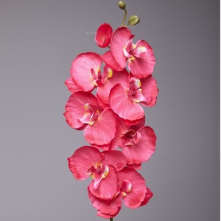 Fiore di seta per la decorazione della tavola dell'orchidea Phalaenopsis