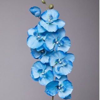 Fiore di seta per la decorazione della tavola dell'orchidea Phalaenopsis