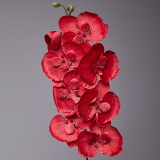 Fiore di seta per la decorazione della tavola dell'orchidea Phalaenopsis