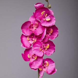 Fiore di seta per la decorazione della tavola dell'orchidea Phalaenopsis