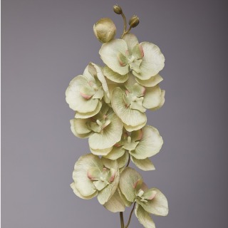 Fiore di seta per la decorazione della tavola dell'orchidea Phalaenopsis
