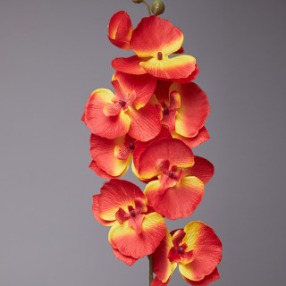Fiore di seta per la decorazione della tavola dell'orchidea Phalaenopsis