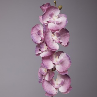Fiore di seta per la decorazione della tavola dell'orchidea Phalaenopsis