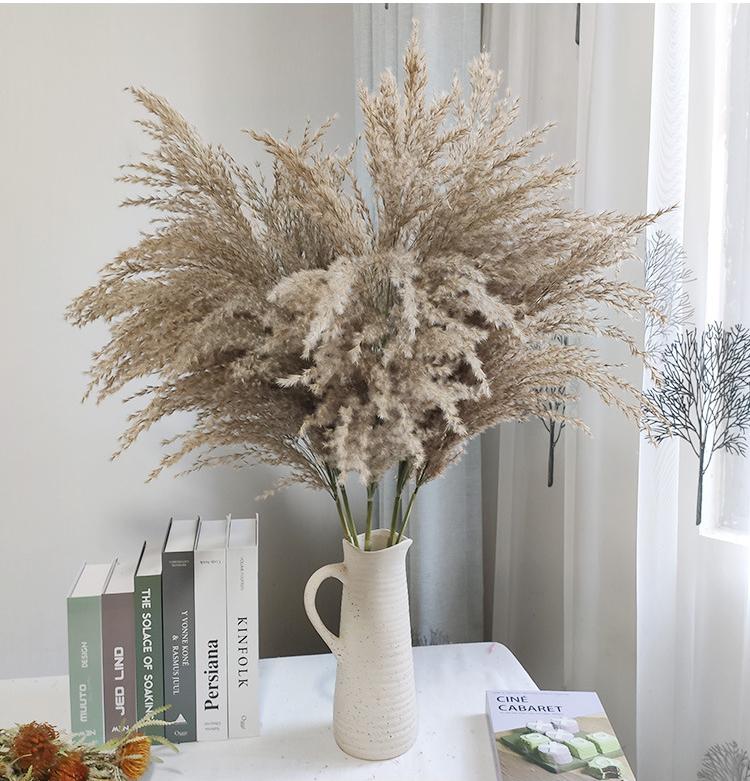 pampas grass