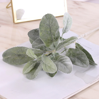 Cabang Limau Daun Tiruan