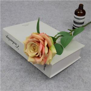 Különböző színű Single Silk Rose