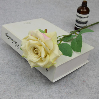 Különböző színű Single Silk Rose