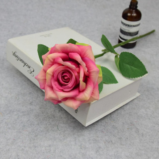 Különböző színű Single Silk Rose