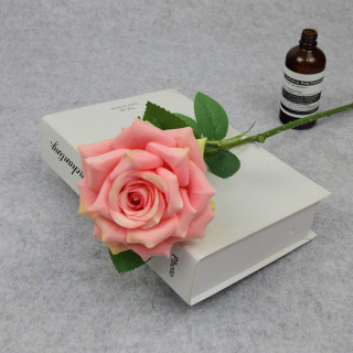 Különböző színű Single Silk Rose