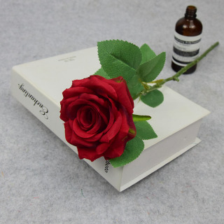 Különböző színű Single Silk Rose